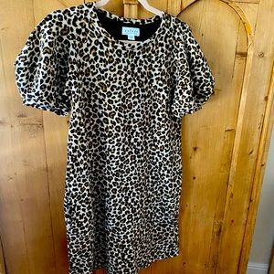 Anthropologie Velvet Dress